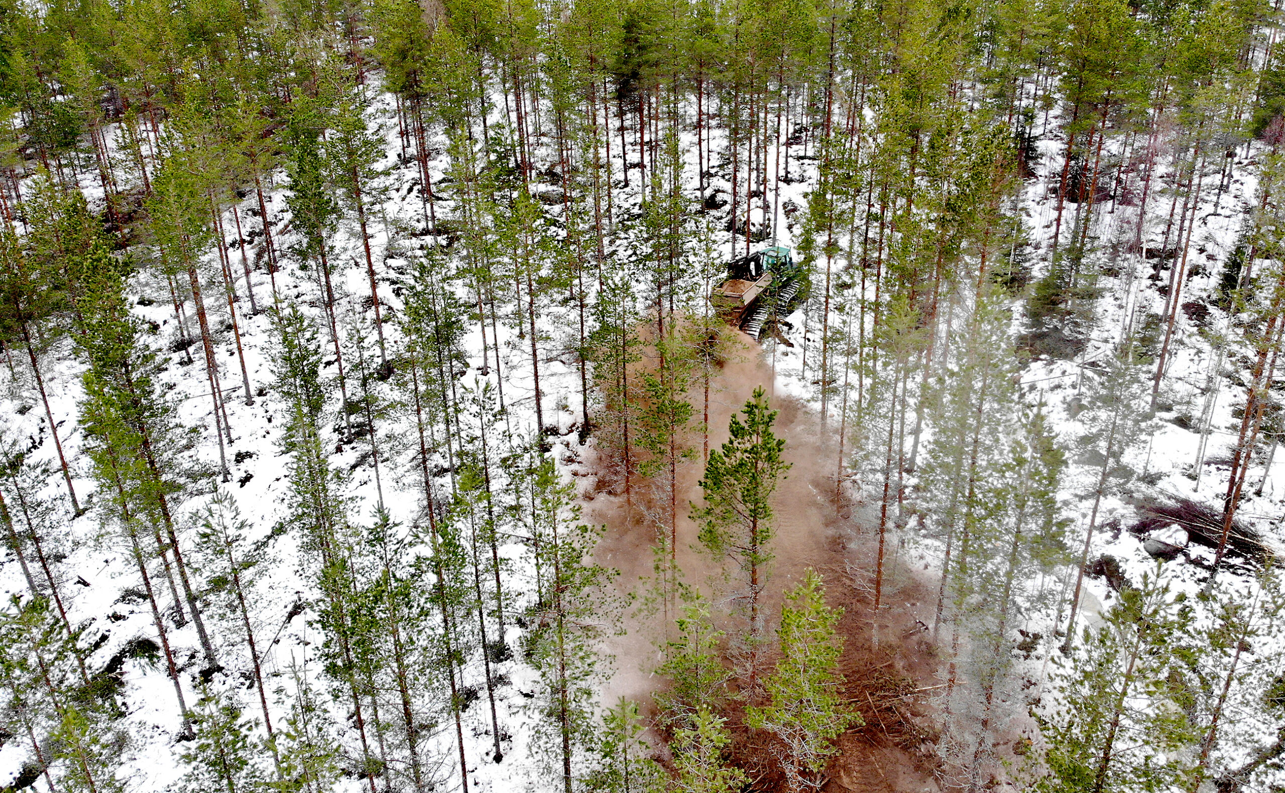 Hyvää tuhkaa menee hukkaan, ”Tekemistä on paljon”