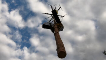 Drooniin liitetty hakkuupää karsii ja katkaisee puun. Sen jälkeen drooni kuljettaa rungon kokonaisena tien varteen. (Kuvaaja: Kuvakaappaus Airforestryn Youtube-kanavalta)