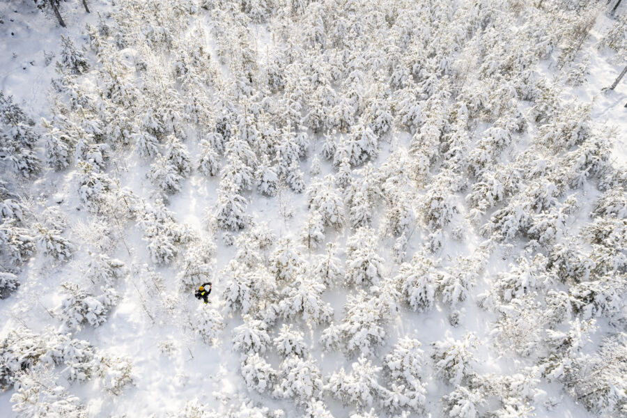 Puuston määrä selviää metsävaratiedoista, mutta laatu vain maastokäynnillä. Myyntikohteeseen perehtyminen alkaa lähimmästä rajapyykistä. Salomäki varaa tyypilliseen maastokäyntiin aikaa neljästä kuuteen tuntia. (Kuvaaja: Seppo Samuli)