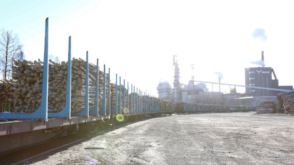 	Yhden sellutehtaan jatkuva seisottaminen kertoo epätasapainoista markkinoilla eli siitä, että Suomessa on liikaa tuotantokapasiteettia havusellun kysyntään nähden. (Kuvaaja: Sami Karppinen)