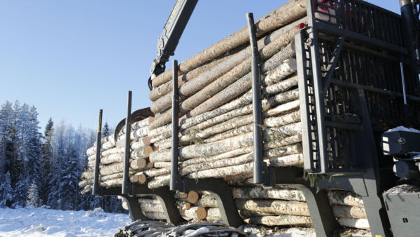Tällä hetkellä korjattava kuitupuu voi olla ostettu niin kovalla hinnalla, että puunvälitystoiminta nykytilanteessa tuottaa tappiota. (Kuva: Sami Karppinen)