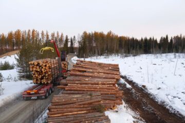 Toistaiseksi kelit ovat otolliset puun ajoon. (Kuvaaja: Sami Karppinen)
