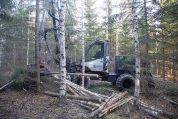 Malwa 980 -hakkuukone metsässä