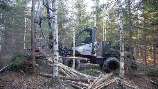 Malwa 980 -hakkuukone metsässä