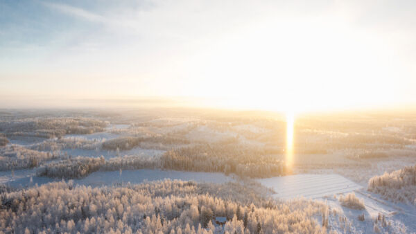 Maatilojen sukupolvenvaihdoksiin tarkoitettua verohuojennusta voidaan joissain tapauksissa käyttää myös metsävaltaisten tilojen sukupolvenvaihdoksissa. (Kuvaaja: Sami Karppinen)