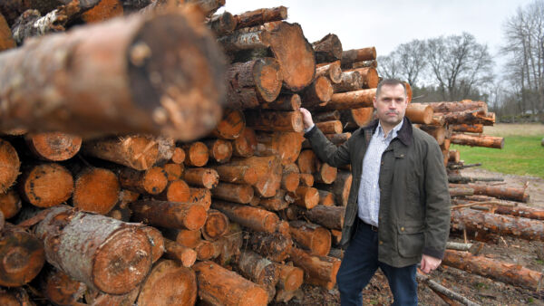 Metsänomistajat eivät ole ilmastotalkoiden vapaamatkustajia vaan päinvastoin. Vapaaehtoisen suojelun piirissä on yli miljoona hehtaaria metsää, Tero Hemmilä huomauttaa. (Kuvaaja: Juha Sinisalo)