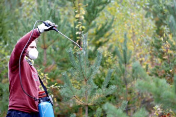  (Kuvaaja: Sami Karppinen)