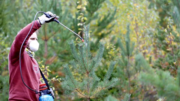  (Kuvaaja: Sami Karppinen)