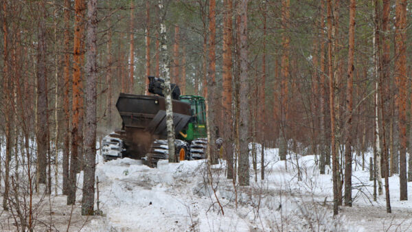 tuhkalannoitusta talvella