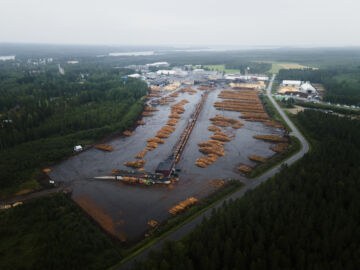 Tukkikenttä ja lajittelija Keiteleen sahalla. Kuva: Matias Honkamaa