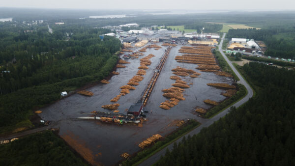 Tukkikenttä ja lajittelija Keiteleen sahalla. Kuva: Matias Honkamaa