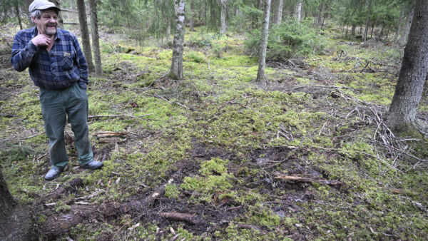 Kouvolan Oravalassa asuva Antti Syrjänen esitteli 31. maaliskuuta 2026 paikkaa hänen lähimetsästä, johon yksi suomeen sunnuntaina harhautuneista ukrainalaisten drooneista löytyi. Viranomaiset räjäyttivät Syrjäsen kotipihan lähelle pudonneen droonin sunnuntai-iltana. (Kuvaaja: Heikki Saukkomaa)