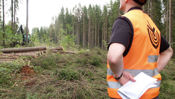 Metsänhoitoyhdistykset alkavat käydä metsänomistajan toiveet hakkuuseen ja puukauppaan liittyen entistä systemaattisemmin läpi. (Kuvaaja: Mikko Riikilä)