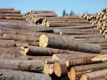 Kuusitukin yli 80 euron kivunneet kantohinnat kertovat orastavasta kysynnän viriämisestä. (Kuvaaja: Mikko Häyrynen)