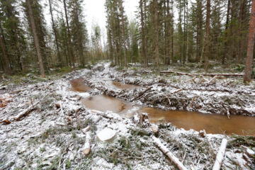 Korjuuolosuhteet ovat keväällä usein haastavat. (Kuvaaja: Sami Karppinen)