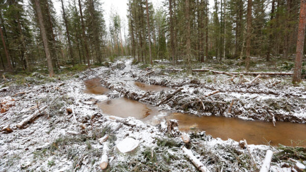 Korjuuolosuhteet ovat keväällä usein haastavat. (Kuvaaja: Sami Karppinen)