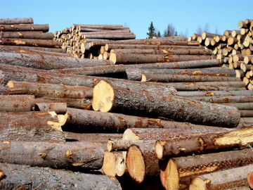 2020-luvulla tukkia on hakattu virallisen korjuutilaston mukaan alimmillaan 25 miljoonaa kuutiometriä, enimmillään 29,3 miljoonaa kuutiometriä. (Kuvaaja: Mikko Häyrynen)