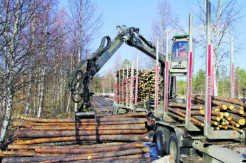 Kuution kautta on myyty lähes 10 miljoonaa kuutiota puuta vuodessa. Siitä 