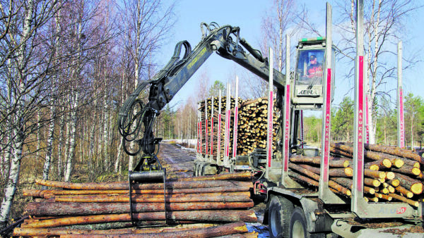 Kuution kautta on myyty lähes 10 miljoonaa kuutiota puuta vuodessa. Siitä 