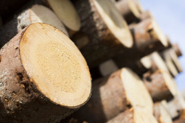 (Kuva: Sami Karppinen)