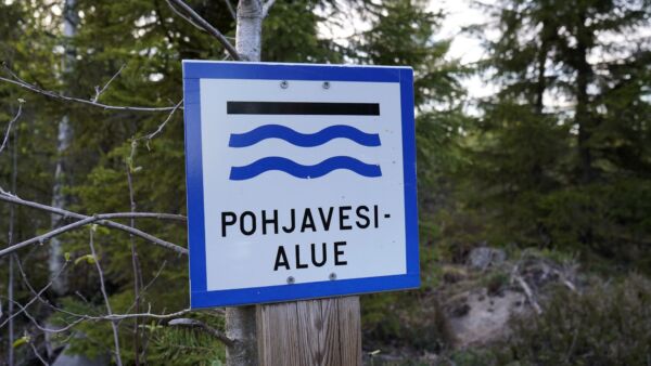 Ilona Herlin on tehnyt sijoitusyhtiönsä kautta 14 miljoonan euron metsäostot pohjavesialueilta. Kauppoja perustellaan luonnonsuojelulla. (Kuvaaja: Santeri Viinamäki)