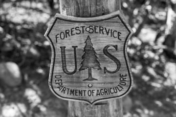 	U.S. Forest Service on valtion virasto, joka hoitaa Yhdysvalloissa samankaltaisia tehtäviä kuin Metsähallitus ja Luonnonvarakeskus  Suomessa. (Kuva: Shutterstock Images)
