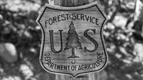 	U.S. Forest Service on valtion virasto, joka hoitaa Yhdysvalloissa samankaltaisia tehtäviä kuin Metsähallitus ja Luonnonvarakeskus  Suomessa. (Kuva: Shutterstock Images)