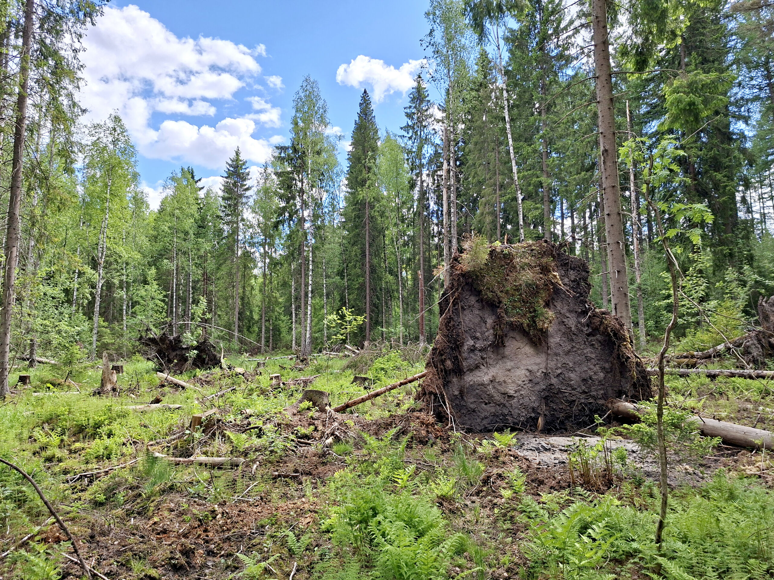 Myrskytuho ja vielä sakot päälle?