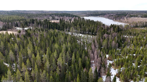 Iso kohde Kainuusta päätyi ruotsalaistaustaiselle metsäsijoitusyhtiölle.