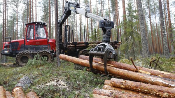 Ostajat tarraavat Pohjois-Pohjanmaalla tällä hetkellä innokkaasti myös mäntytukkiin, vaikka sen kysyntä on muualla massa ollut vaisumpaa. Tämä näkyy myös hinnassa, sillä mäntytukki on Pohjois-Pohjanmaalla selvästi muuta maata kalliimpaa.  Arkistokuva. (Kuvaaja: Sami Karppinen)