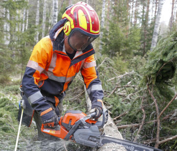 Arboristi Sami Heinäaho vakuuttui Husqvarna 564:n suorituskyvystä. Saha sopii erinomaisesti järeiden pihapuiden kaatoon sekä pätkimiseen klapimittaan. Sahassa on vakiona 20 tuuman laippa. (Kuvaaja: Sami Karppinen)