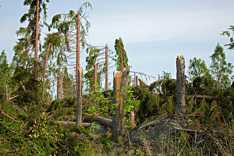 Metsäkeskus: Myrskyt iskeneet pahimmin Länsi-Suomen yksityismetsiin