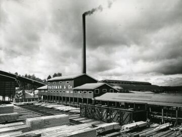 Honkalahden saha ja lajittelulaitos vuonna 1950. (Kuvaaja: Suomen elinkeinoelämän keskusarkisto, ELKA)