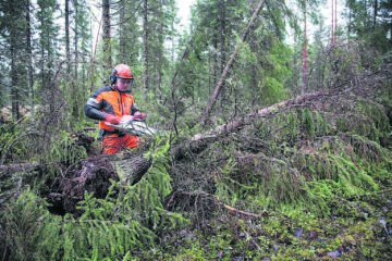 Seija-myrskyn jälkiä korjattiin vuonna 2013.