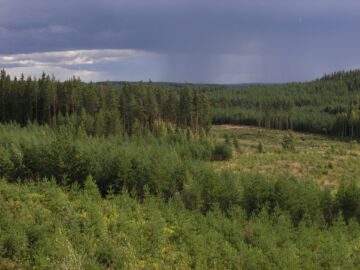 Suomessa metsäkuviot ovat pieniä, mikä osaltaan estää metsäpalojen nopeaa leviämistä. (Kuvaaja: Harri Menna)