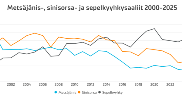 Sepelkyyhkyjä metsästettiin viime vuonna ennätysmäärä. (Kuvaaja: Luke)