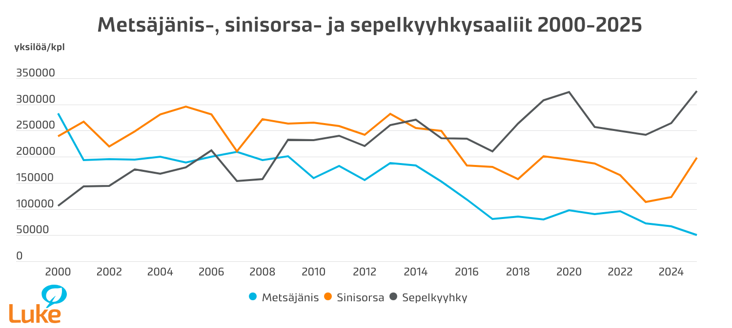 Sepelkyyhkyjä metsästettiin viime vuonna ennätysmäärä