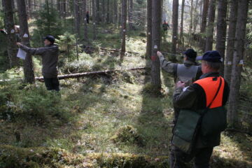 Metsätilan ostamisen taitoa voi jalostaa metsätaitokilpailuissa. Kuva: Hannu Liljeroos
