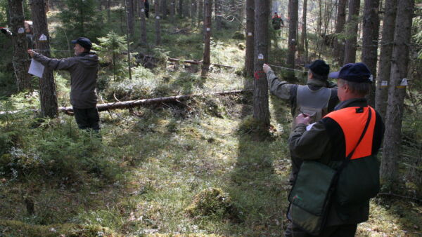 Metsätilan ostamisen taitoa voi jalostaa metsätaitokilpailuissa. Kuva: Hannu Liljeroos