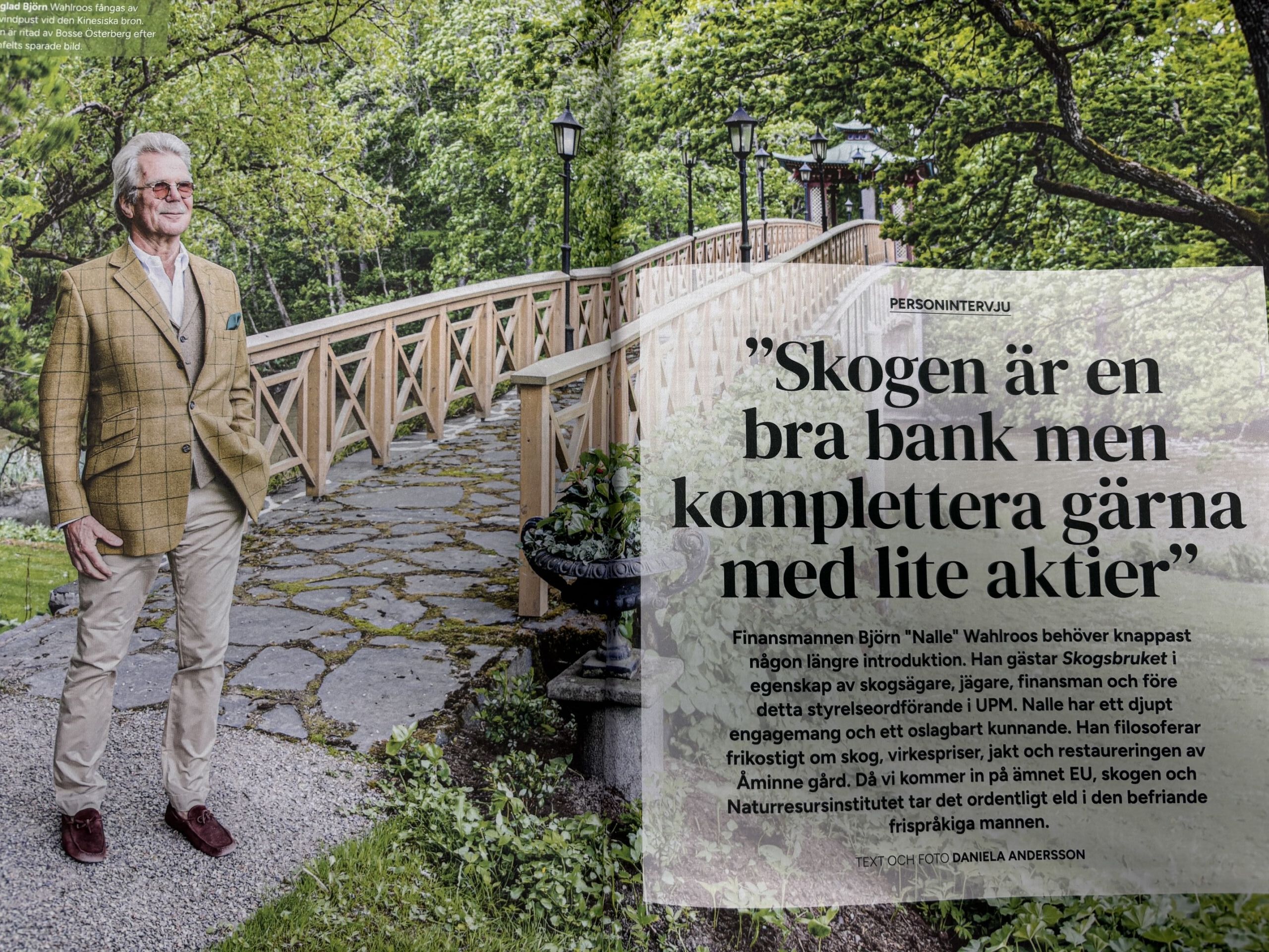 Wahlroos Skogsbruketissa: ”Korkeisiin puunhintoihin sisältyy riski, että jotakin ikävää tapahtuu”