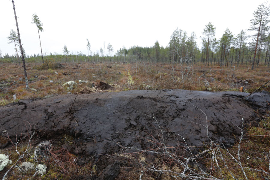 Risto Sulkavan mielestä ei riitä, että suot jätetään ennallistumaan, vaan ojat on aktiivisesti tukittava. (Kuvaaja: Sami Karppinen)