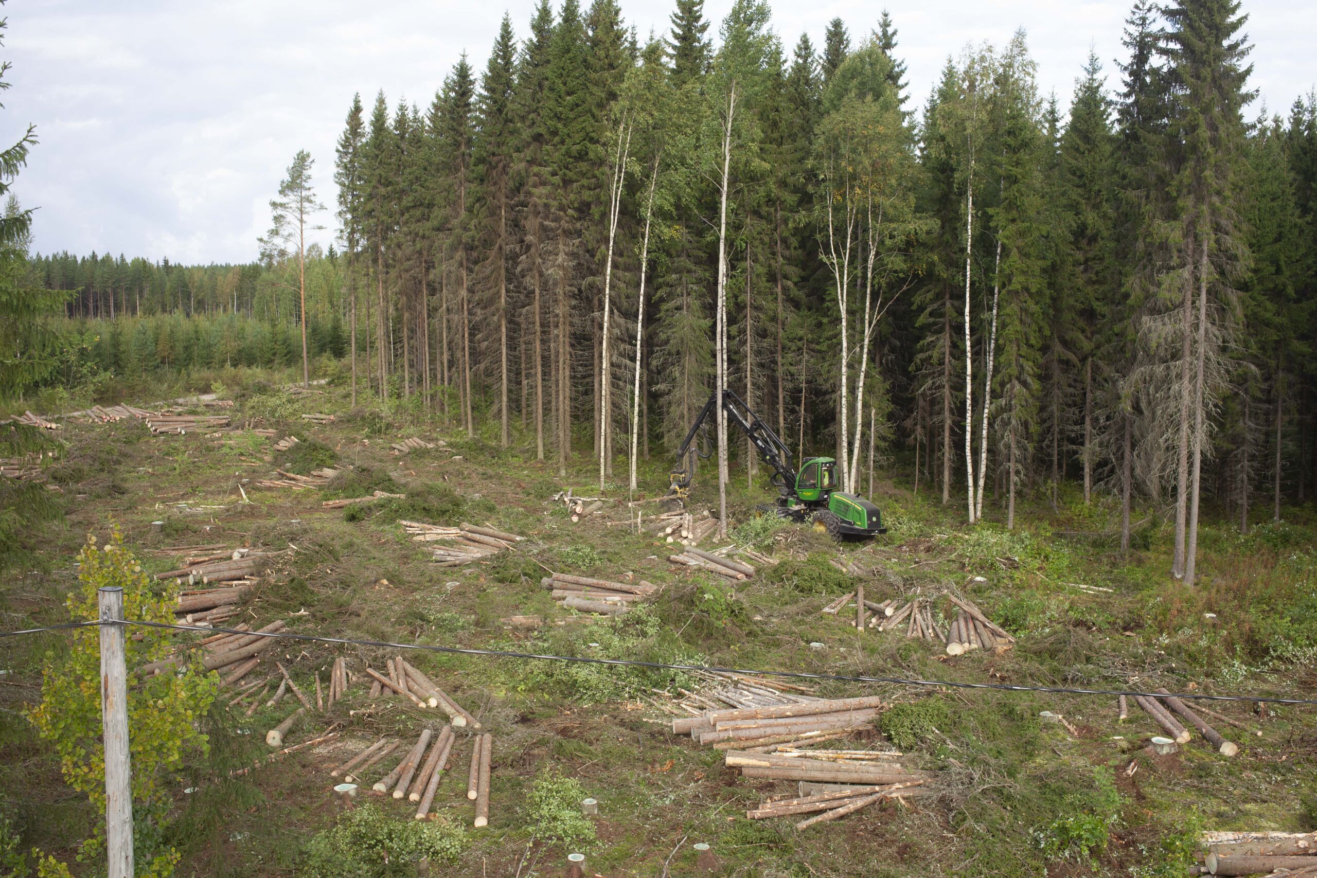 Tällä hinnalla irtosi alkuvuonna hehtaari metsää