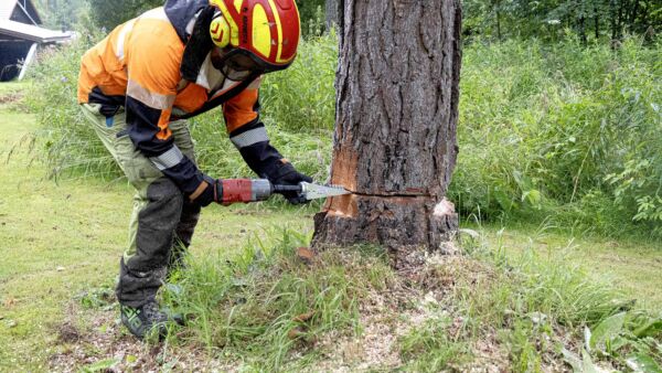 Kiila työntyy ruuvin vetämänä puuhun ilman, että sahausrakoa avarretaan.