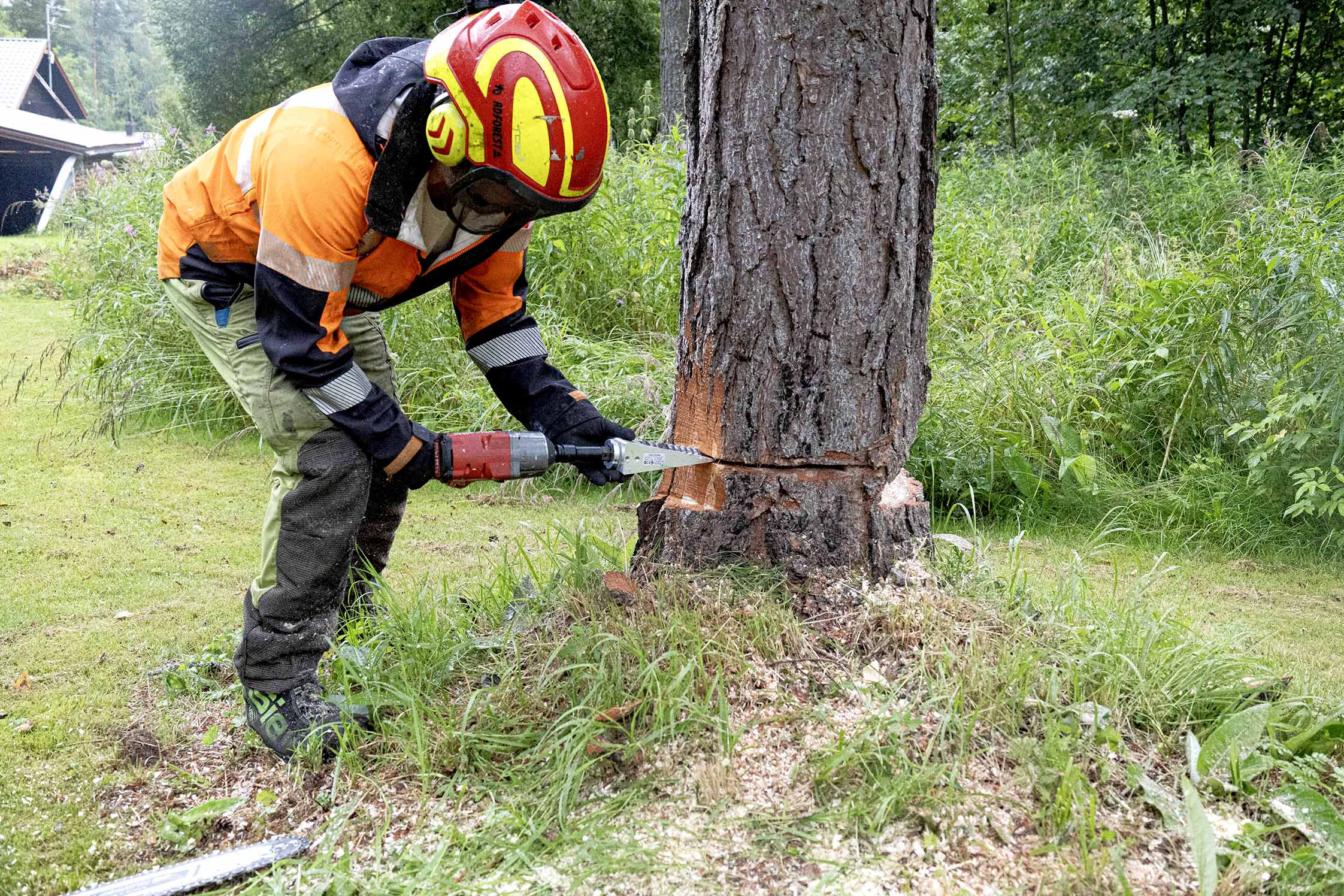 Forstreich SK50 -ruuvikaatokiila – Iso puu nurin ruuvaamalla