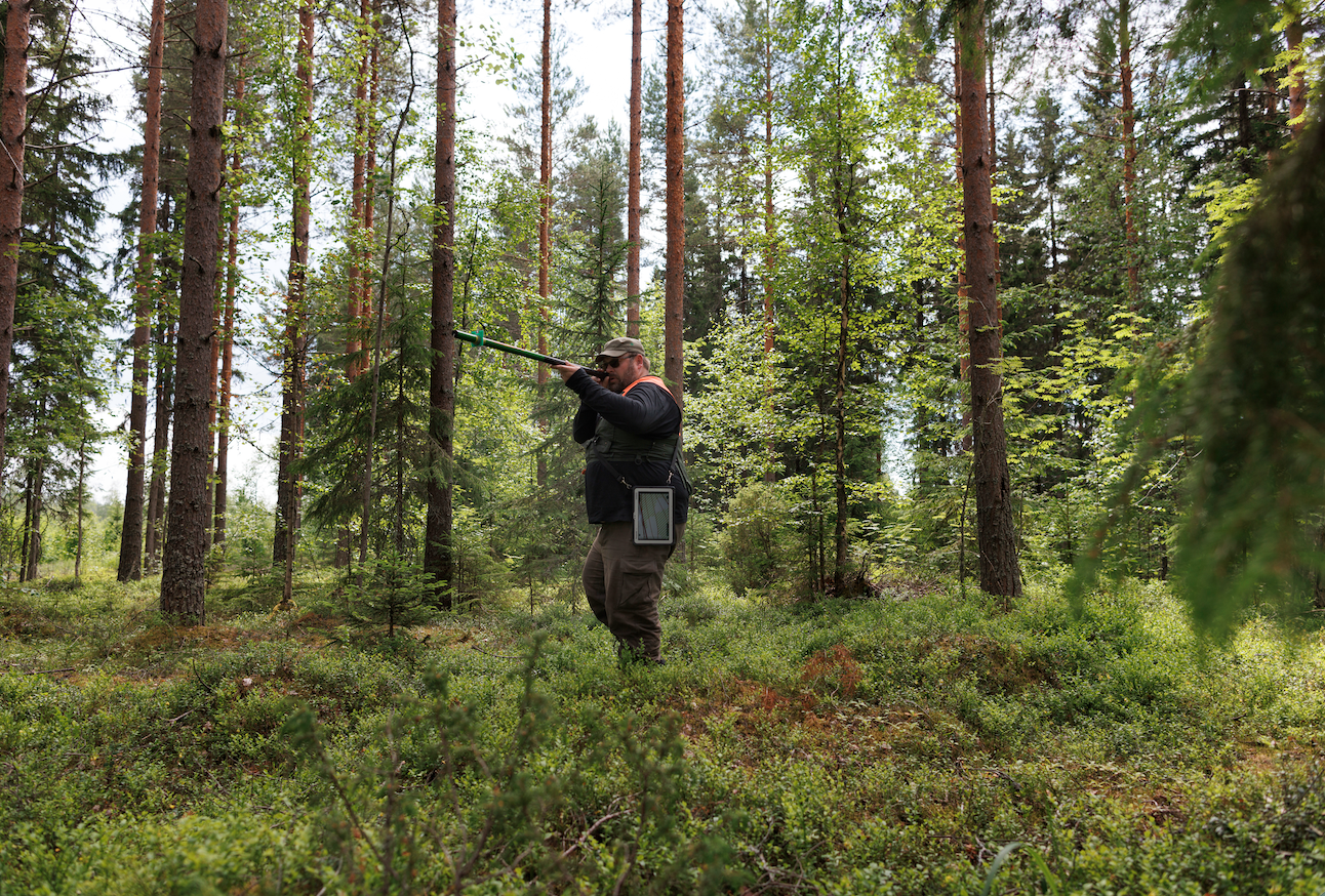 Voiko metsän tila-arvion kulut vähentää verotuksessa?