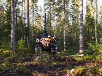 Jatkuvan kasvatuksen metsien uudistamisesta pitäisi lakiesityksen mukaan ilmoittaa metsäkeskukseen. (Kuva: Petteri Kivimäki)