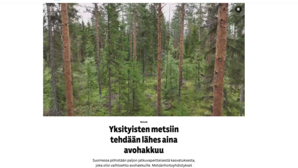 Yle kertoi jutussaan, kuinka paljon metsänhoitoyhdistykset ovat tehneet jatkuvan kasvatuksen hakkuusuunnitelmia verrattuna muihin toimijoihin.