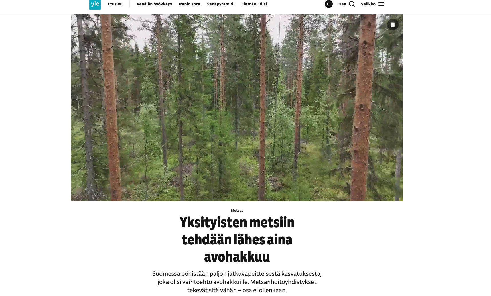 Riikilä | Hyvät ja pahat metsänhoitoyhdistykset – vai päinvastoin?