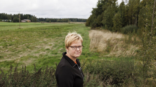 Metsäasiantuntija Marjaana Hellän takana näkyvät pelto ja Kiiskijärven rantametsät, joista ensimmäiset sikaruttoon kuolleet villisiat löytyvät. Kaakonkulmalla harva on kohdannut villisian, mutta rajan läheiset kuusikot ovat myllättyjä ja juuret paistavat. (Kuvaaja: Seppo Samuli)
