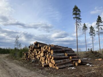Metsänhoitoyhdistysten uusi Pino.fi-palvelu pyrkii parantamaan metsänomistajille tarjottavia palveluita. (Kuva: Heli Virtanen) 